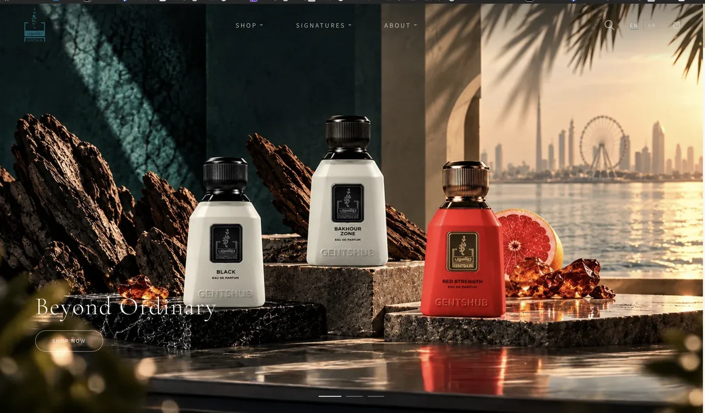 GENTSHUB website interface 2